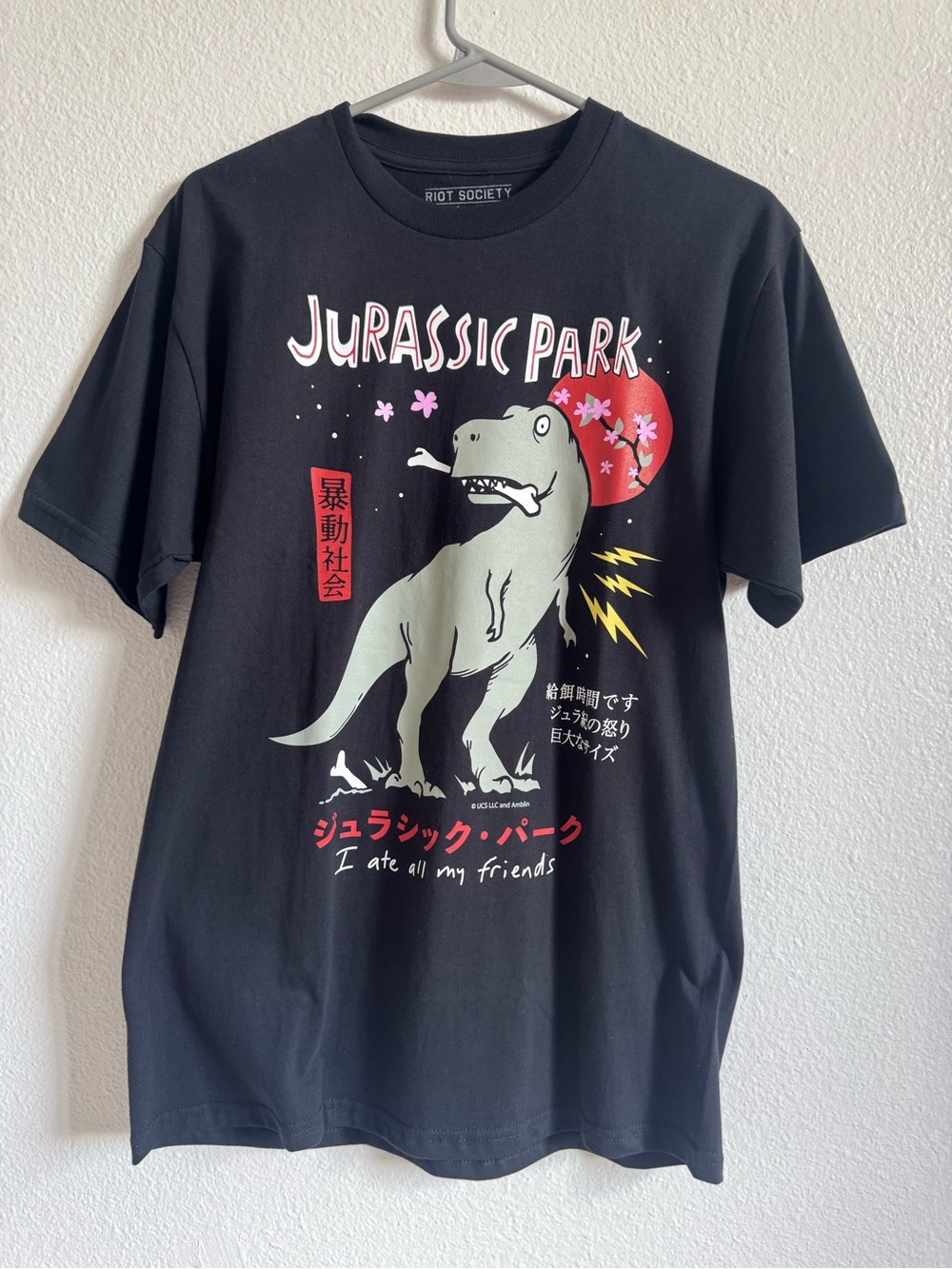 Riot Society Black Jurassic Park Graphic Tee with Red Accents
